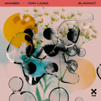 Blackout (Single)