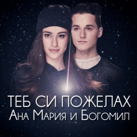 Теб си пожелах (Single)