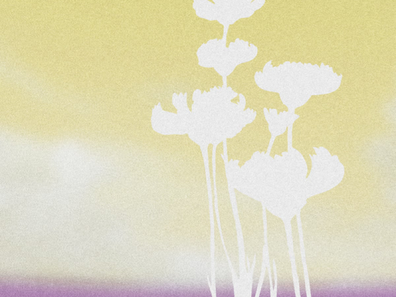 lostintheforest (Single)