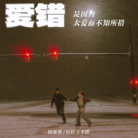 爱错是因为太爱而不知所措 (Single)