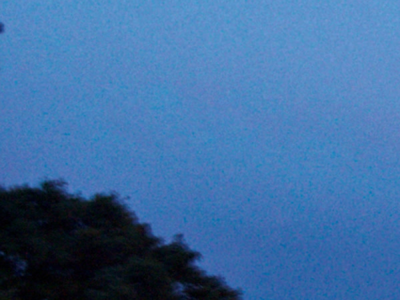 gloaming wind (Single)