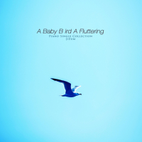 Baby bird's wings (Single)