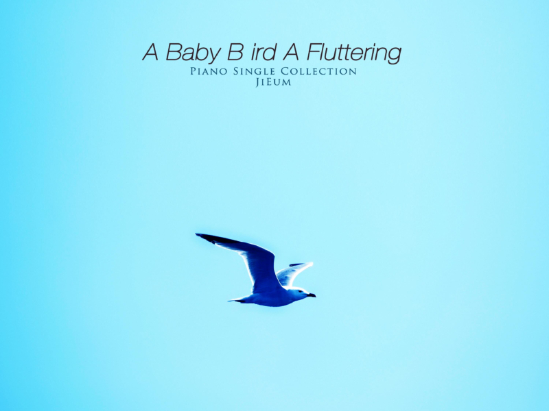 Baby bird's wings (Single)