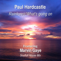 Rainforest/What's Going On (feat. Marvin Gaye) [Soulful House Mix] (Single)
