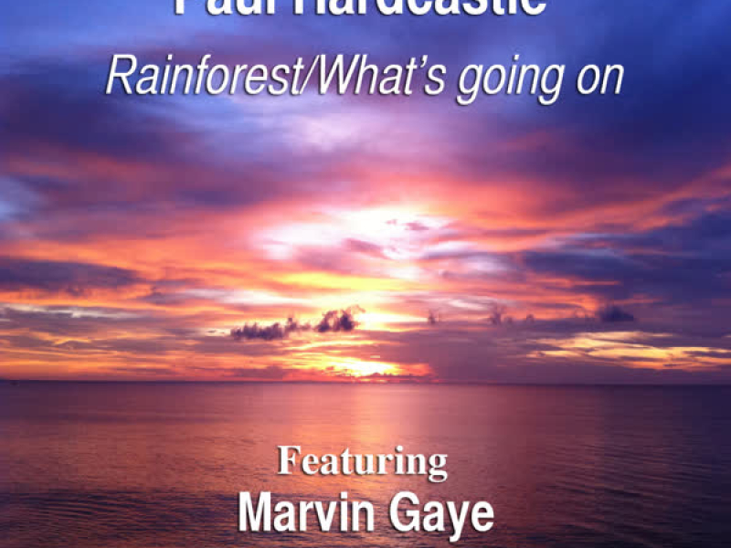 Rainforest/What's Going On (feat. Marvin Gaye) [Soulful House Mix] (Single)