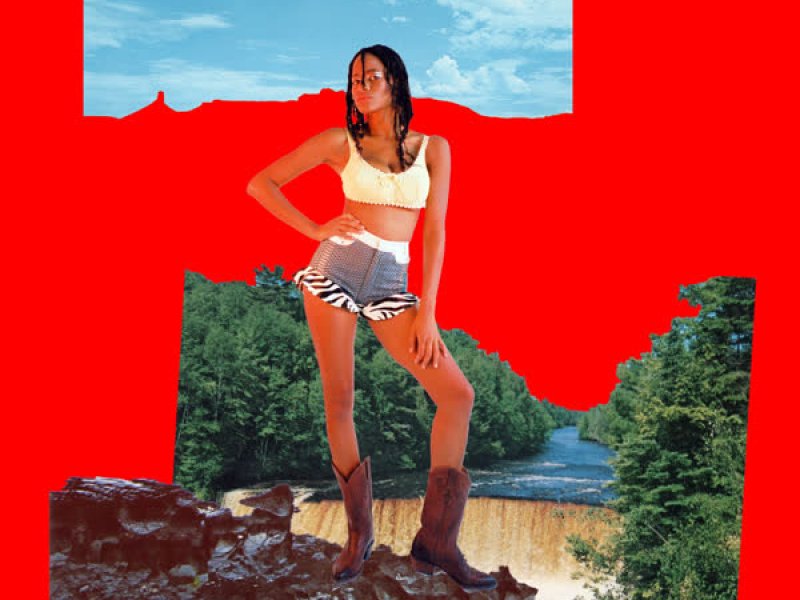 NEW TRICKS: ART, AESTHETICS, AND MONEY (Single)