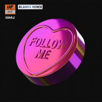 Follow Me (Blanke Remix) (Single)