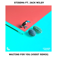 Waiting for You (feat. Jack Wilby) [Voost Remix] (Single)