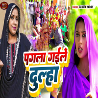 Pagla Gaile Dulha (Single)