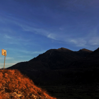 Set Me Free (Single)