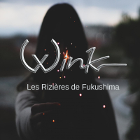 Les Rizìeres de Fukushima (Single)