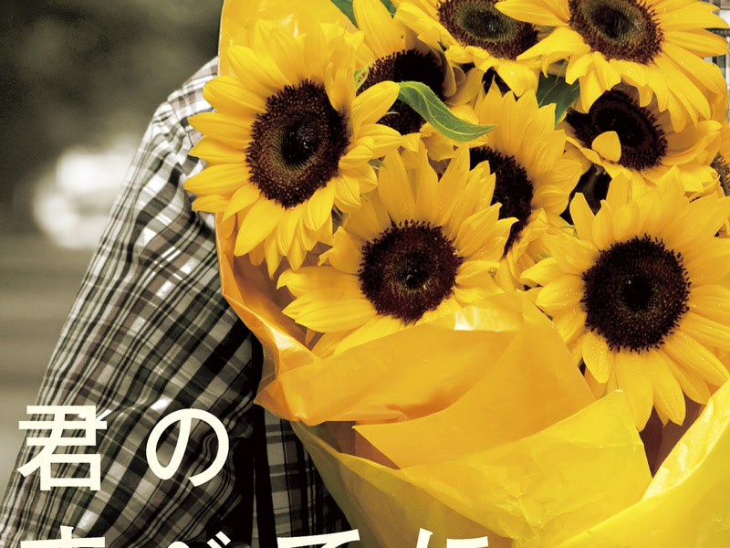 Kimi No Subeteni (Single)