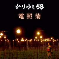 Denshougiku (Single)