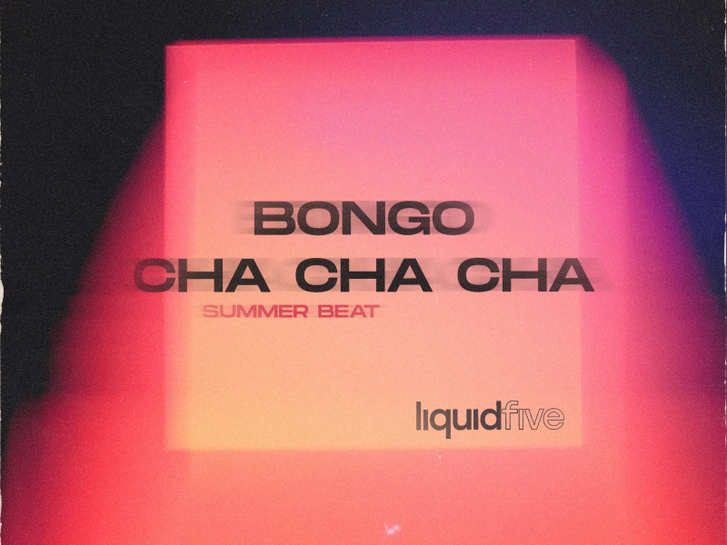 Bongo Cha Cha Cha (Summer Beat)