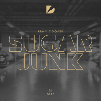 Sugar Junk (Single)