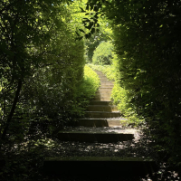 Green Again (Single)