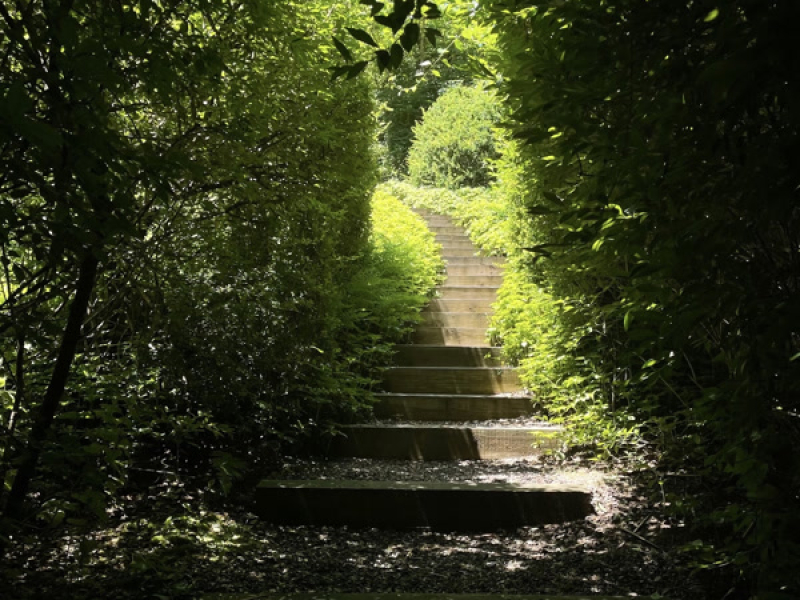 Green Again (Single)