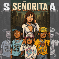 Señorita (Single)