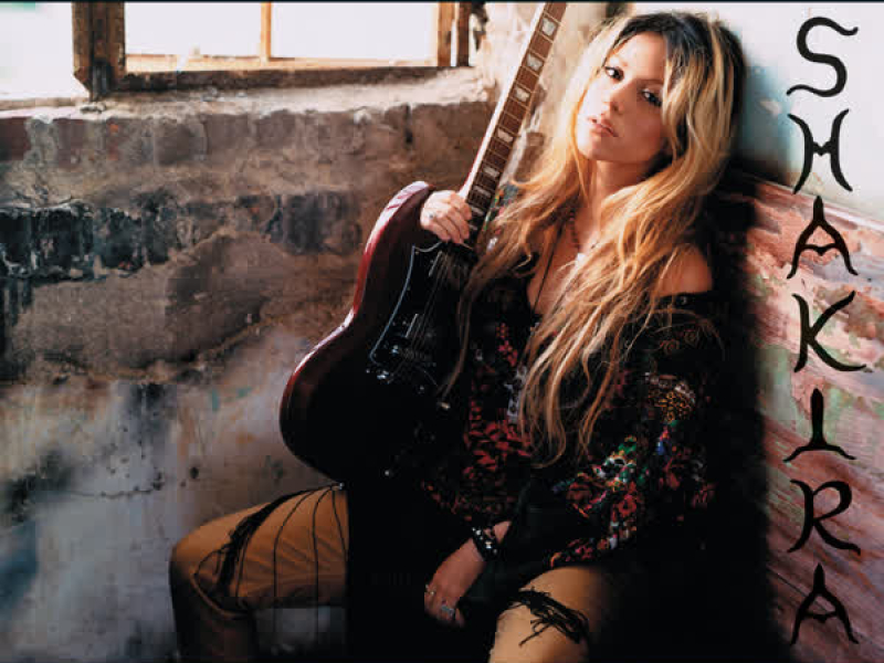 Laundry Service: Washed and Dried (Expanded Edition)