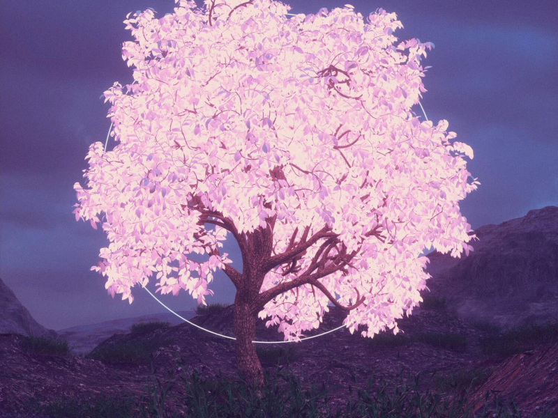 Leaders (Electranumb Remix) (Single)