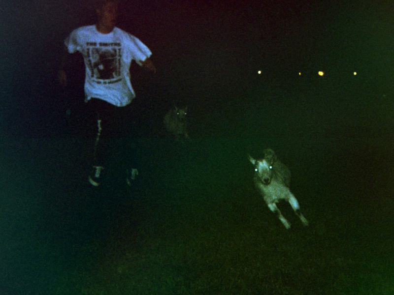 Seal Your Fate (Single)