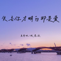 失去你才明白那是爱 (Single)