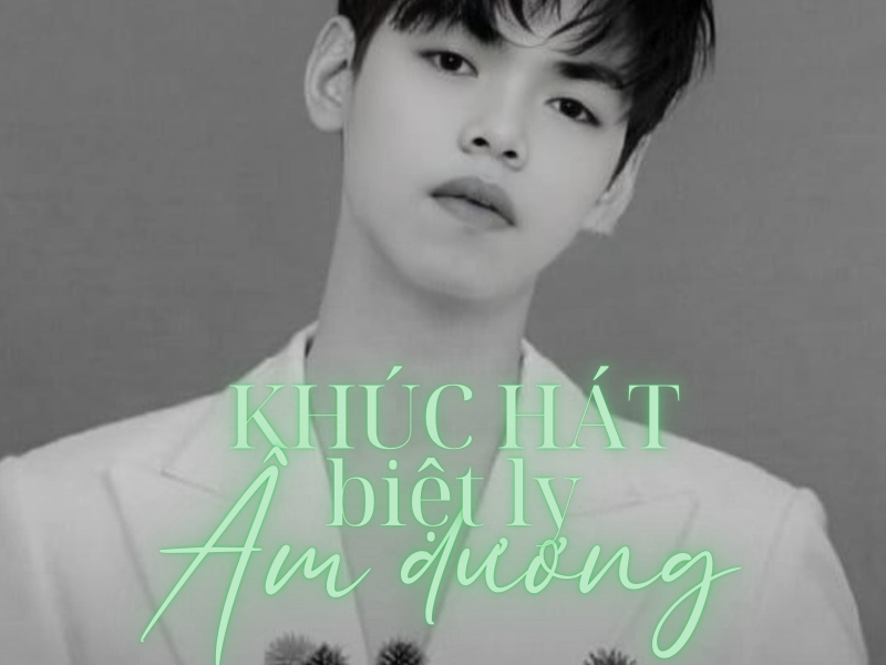 Khúc Hát Biệt Ly Âm Dương (Vinahouse Version 5) (Single)