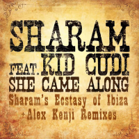 She Came Along (Remixes)