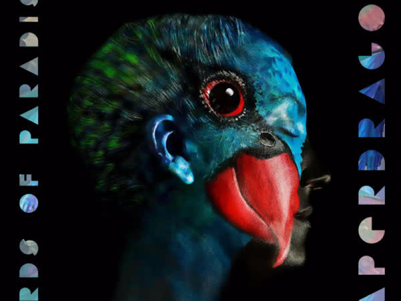 Birds of Paradise (EP)