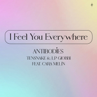 I Feel You Everywhere (Antibodies) (Single)