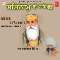 Satnaam Sri Waheguru Vol-75 (Single)