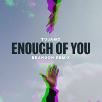 Enough Of You (BRANDON Remix) (Single)