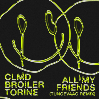 All My Friends (Tungevaag Remix) (Single)