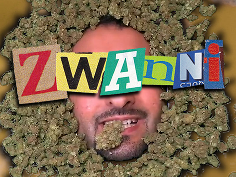 Zwanni (Single)