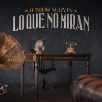 Lo Que No Miran (Single)