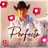 Perfecta (Single)