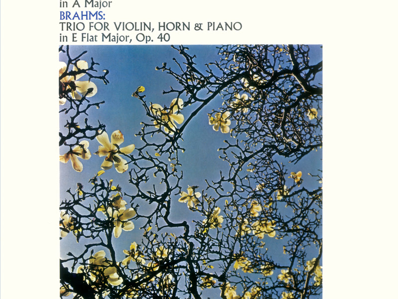 Franck: Violin Sonata / Brahms: Horn Trio