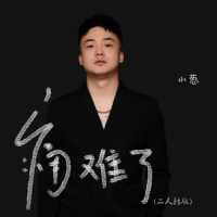 痛难了（二人转版） (Single)