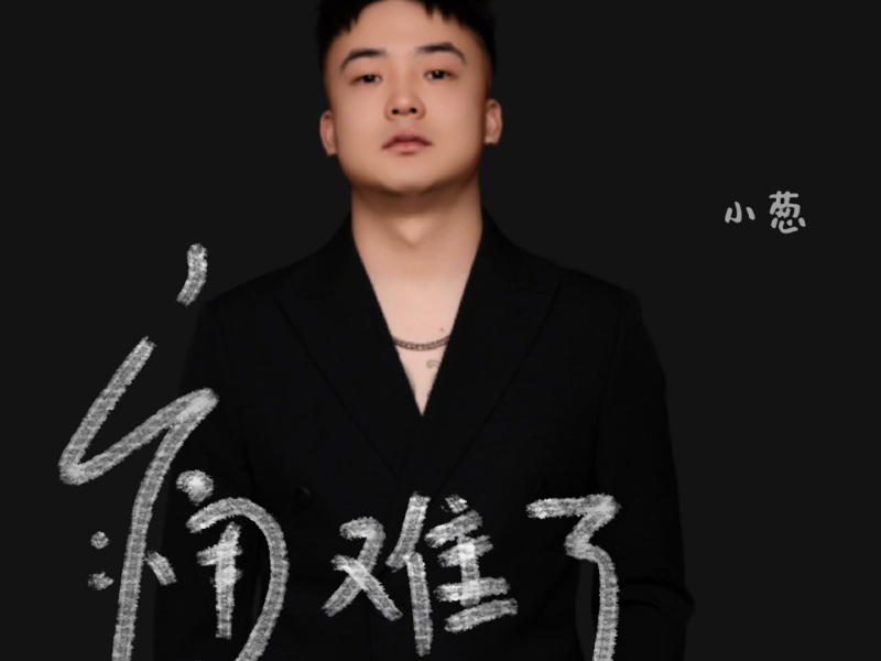 痛难了（二人转版） (Single)