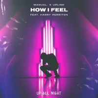 How I Feel (Single)
