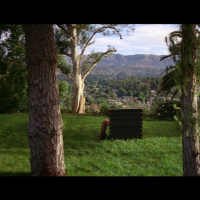 Bitch Better Have My Money (MV) (Single)