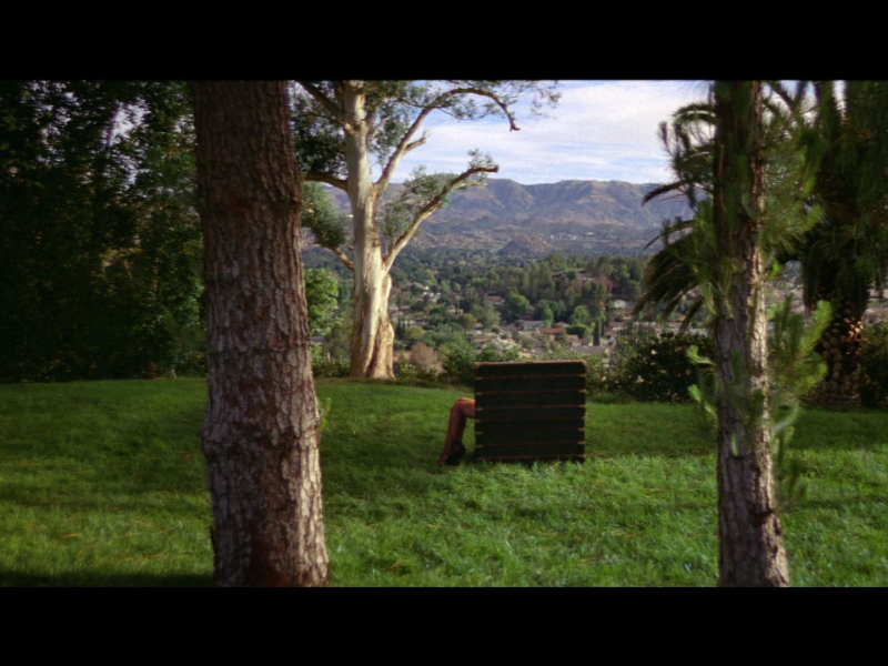 Bitch Better Have My Money (MV) (Single)