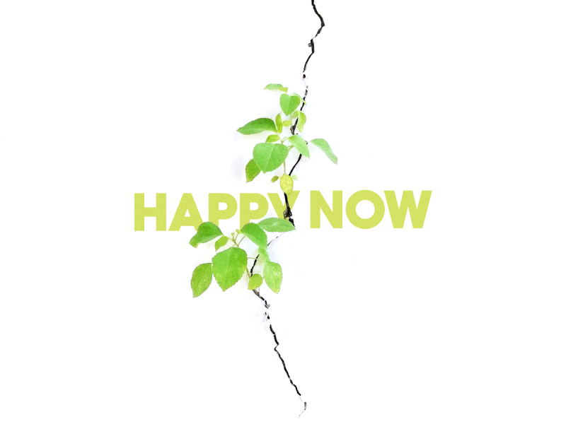 Happy Now