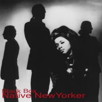 Native New Yorker (Mixes) (EP)