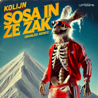 Sosa In Ze Zak (Invaled Remix) (Single)