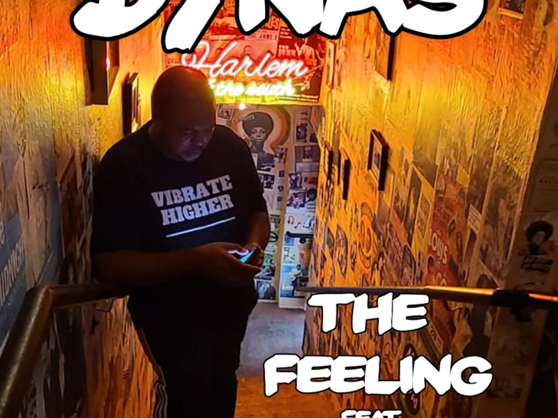 The Feeling (feat. DJ Klassik & Nubawn) (Single)