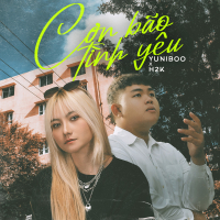 Cơn Bão Tình Yêu (Single)