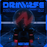 Shady Intentions (Franky Nuts Remix) (Single)