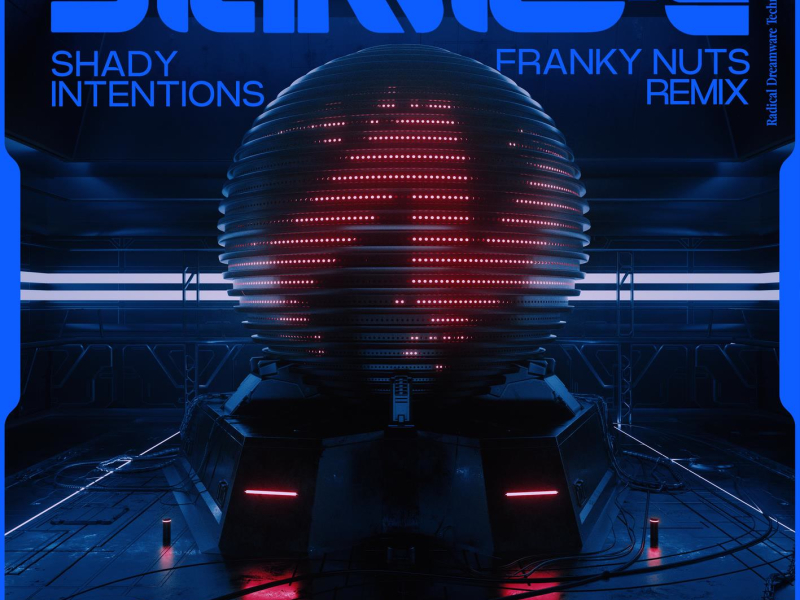 Shady Intentions (Franky Nuts Remix) (Single)