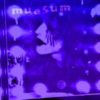 Ship Stealer (Single)